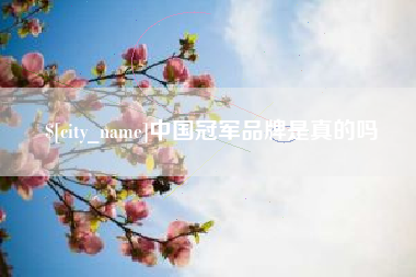 朝阳中国冠军品牌是真的吗