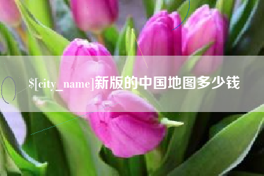 朝阳新版的中国地图多少钱
