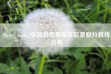 朝阳中国消防救援学院录取分数线公布