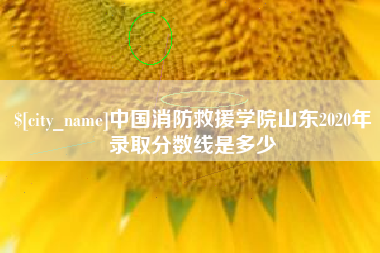 朝阳中国消防救援学院山东2020年录取分数线是多少
