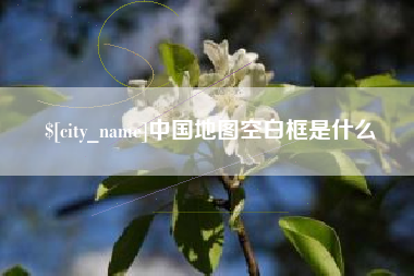 朝阳中国地图空白框是什么