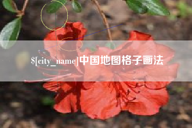 朝阳中国地图格子画法