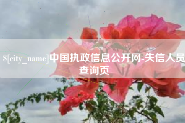 朝阳中国执政信息公开网-失信人员查询页