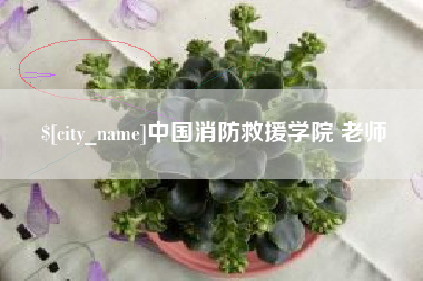 朝阳中国消防救援学院 老师