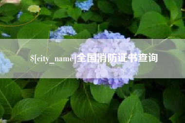 朝阳全国消防证书查询