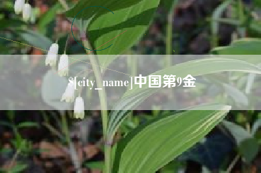 朝阳中国第9金