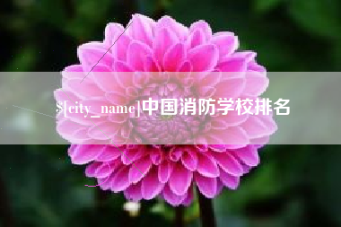 朝阳中国消防学校排名