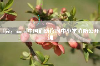 朝阳中国消防官网中小学消防公开课