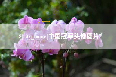 朝阳中国冠军头像图片