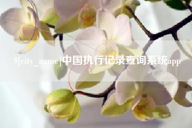 朝阳中国执行记录查询系统app