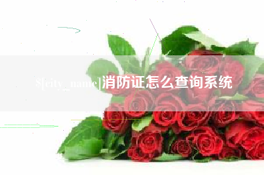 朝阳消防证怎么查询系统