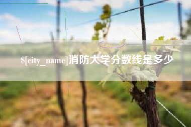 朝阳消防大学分数线是多少