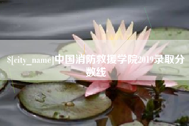 朝阳中国消防救援学院2019录取分数线