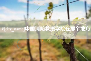 朝阳中国消防救援学院在那个地方