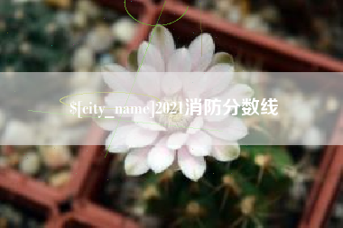 朝阳2021消防分数线