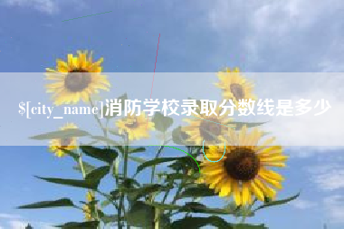 朝阳消防学校录取分数线是多少
