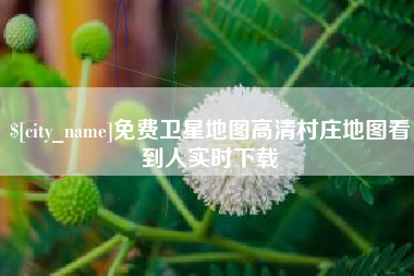 朝阳免费卫星地图高清村庄地图看到人实时下载