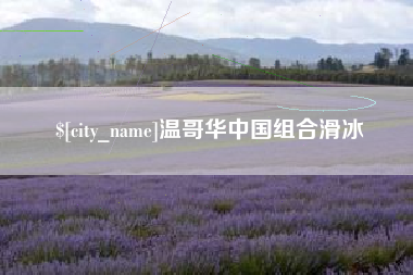 朝阳温哥华中国组合滑冰