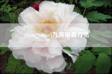 朝阳九宫排盘方法