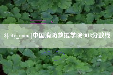朝阳中国消防救援学院2018分数线