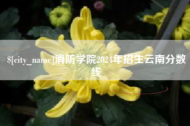 朝阳消防学院2024年招生云南分数线