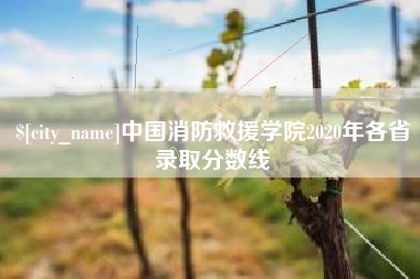朝阳中国消防救援学院2020年各省录取分数线