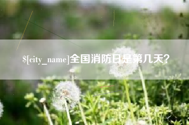 朝阳全国消防日是第几天？