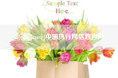 朝阳中国执行网信息官网