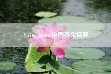 朝阳中国夺金情况
