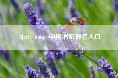朝阳中国消防报名入口