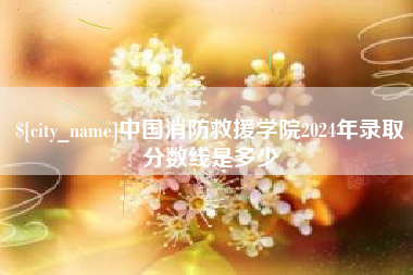朝阳中国消防救援学院2024年录取分数线是多少