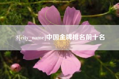 朝阳中国金牌排名前十名