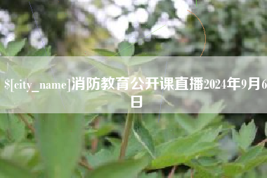 朝阳消防教育公开课直播2024年9月6日