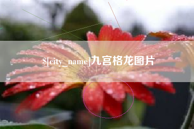 朝阳九宫格龙图片