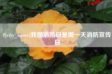 朝阳我国消防日是哪一天消防宣传日