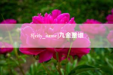 朝阳九金是谁