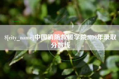 朝阳中国消防救援学院2019年录取分数线
