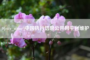 朝阳中国执行信息公开网平台维护