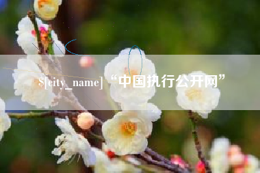 朝阳“中国执行公开网”
