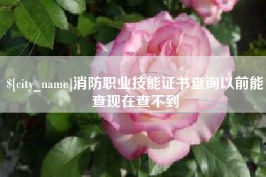 朝阳消防职业技能证书查询以前能查现在查不到
