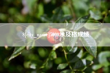 朝阳5000米及格成绩