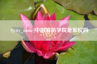 朝阳中国消防学院是军校吗