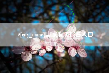 朝阳国家消防报名入口
