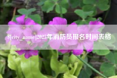 朝阳2025年消防员报名时间表格