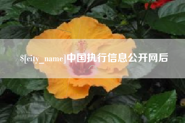 朝阳中国执行信息公开网后