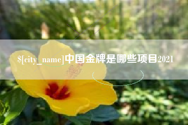 朝阳中国金牌是哪些项目2021