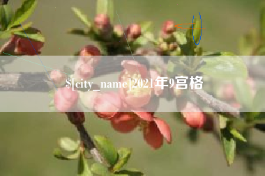 朝阳2021年9宫格
