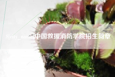 朝阳中国救援消防学院招生简章