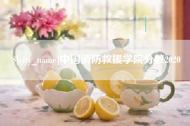 朝阳中国消防救援学院分数2020