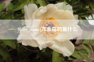朝阳九金指的是什么
